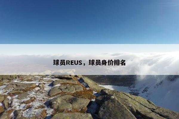 球员REUS，球员身价排名