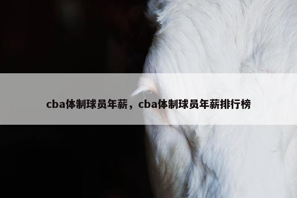 cba体制球员年薪，cba体制球员年薪排行榜