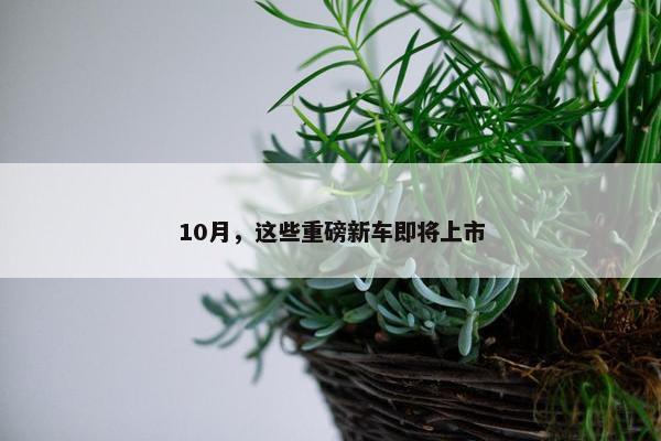 10月，这些重磅新车即将上市