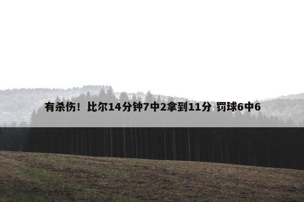 有杀伤！比尔14分钟7中2拿到11分 罚球6中6