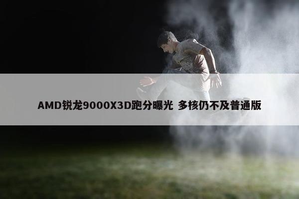 AMD锐龙9000X3D跑分曝光 多核仍不及普通版