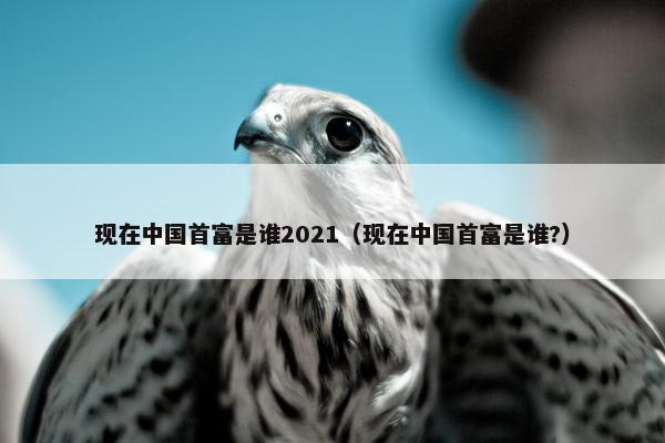 现在中国首富是谁2021（现在中国首富是谁?）