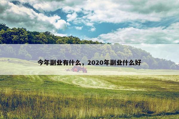 今年副业有什么，2020年副业什么好