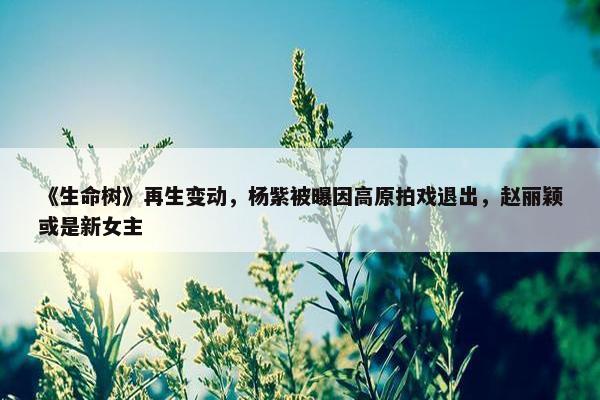 《生命树》再生变动，杨紫被曝因高原拍戏退出，赵丽颖或是新女主