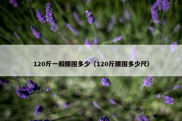 120斤一般腰围多少（120斤腰围多少尺）