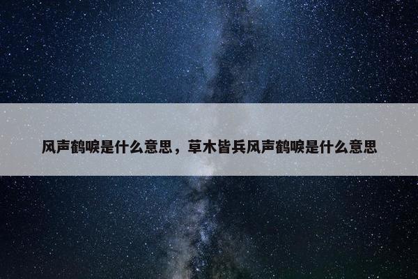 风声鹤唳是什么意思，草木皆兵风声鹤唳是什么意思