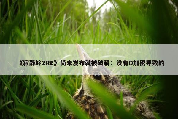 《寂静岭2RE》尚未发布就被破解：没有D加密导致的