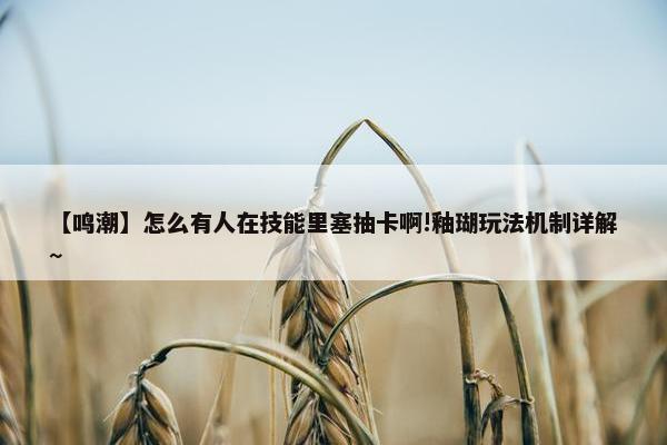 【鸣潮】怎么有人在技能里塞抽卡啊!釉瑚玩法机制详解~