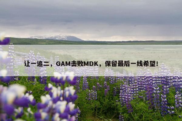 让一追二，GAM击败MDK，保留最后一线希望！