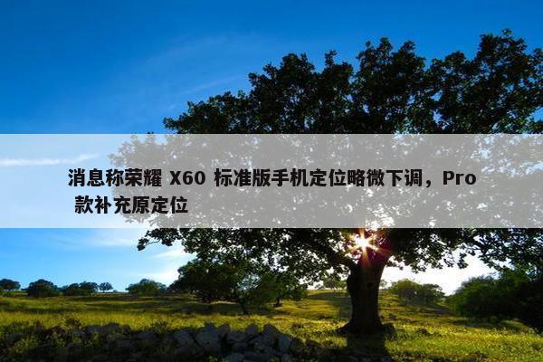 消息称荣耀 X60 标准版手机定位略微下调，Pro 款补充原定位