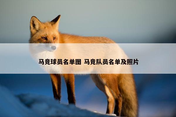 马竞球员名单图 马竞队员名单及照片