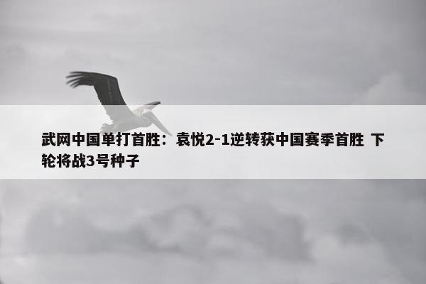 武网中国单打首胜：袁悦2-1逆转获中国赛季首胜 下轮将战3号种子