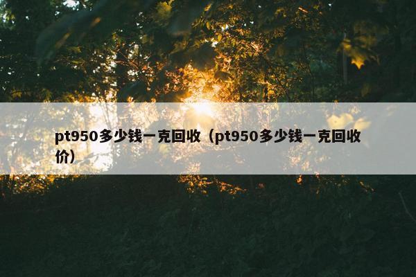 pt950多少钱一克回收（pt950多少钱一克回收价）