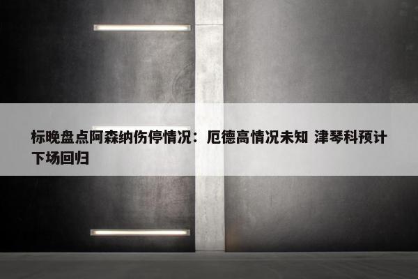 标晚盘点阿森纳伤停情况：厄德高情况未知 津琴科预计下场回归