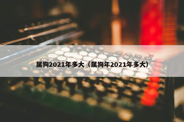 属狗2021年多大（属狗年2021年多大）