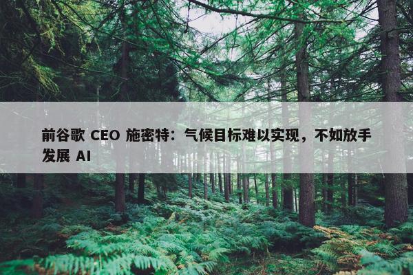 前谷歌 CEO 施密特：气候目标难以实现，不如放手发展 AI