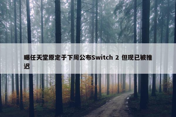 曝任天堂原定于下周公布Switch 2 但现已被推迟