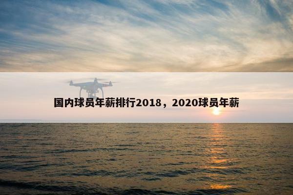 国内球员年薪排行2018，2020球员年薪