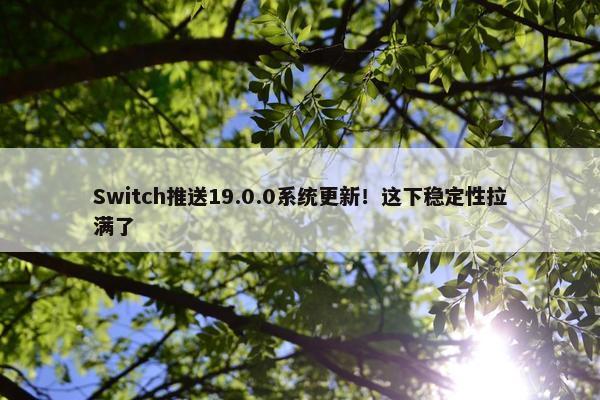 Switch推送19.0.0系统更新！这下稳定性拉满了