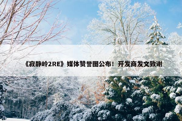 《寂静岭2RE》媒体赞誉图公布！开发商发文致谢