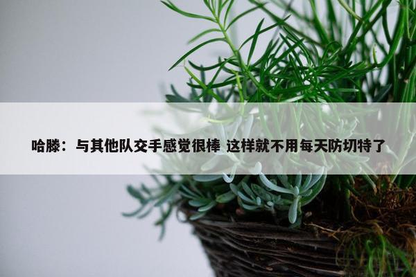 哈滕：与其他队交手感觉很棒 这样就不用每天防切特了