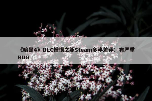 《暗黑4》DLC憎恨之躯Steam多半差评：有严重BUG