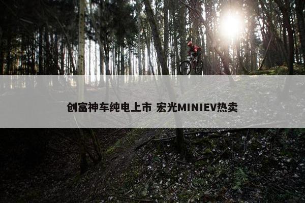 创富神车纯电上市 宏光MINIEV热卖