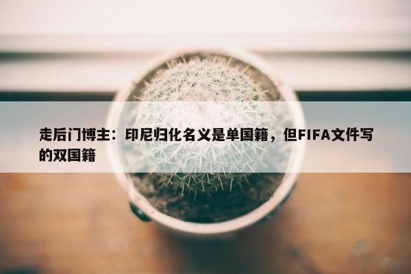 走后门博主：印尼归化名义是单国籍，但FIFA文件写的双国籍