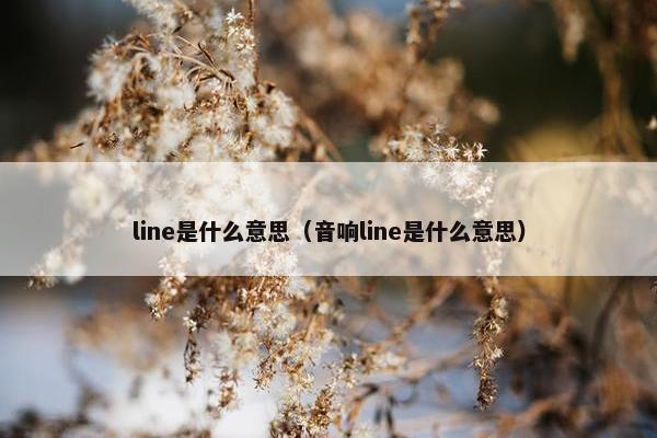 line是什么意思（音响line是什么意思）