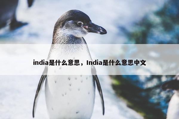 india是什么意思，India是什么意思中文