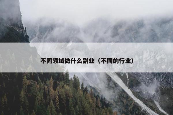 不同领域做什么副业（不同的行业）