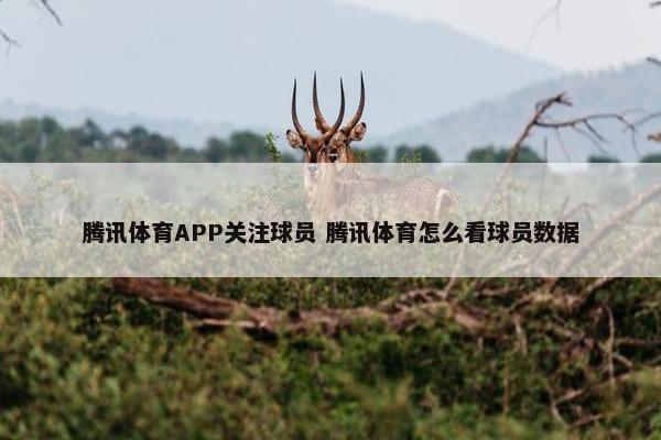 腾讯体育APP关注球员 腾讯体育怎么看球员数据