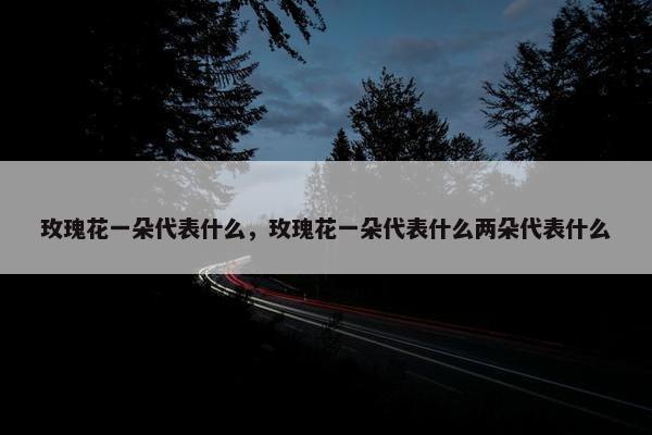 玫瑰花一朵代表什么，玫瑰花一朵代表什么两朵代表什么