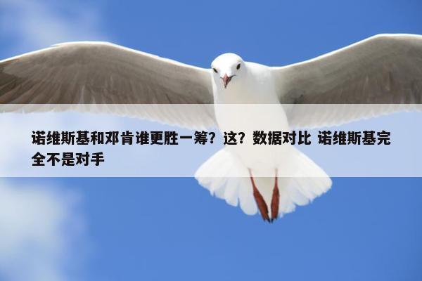 诺维斯基和邓肯谁更胜一筹？这？数据对比 诺维斯基完全不是对手