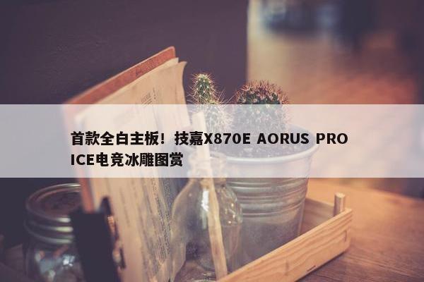 首款全白主板！技嘉X870E AORUS PRO ICE电竞冰雕图赏