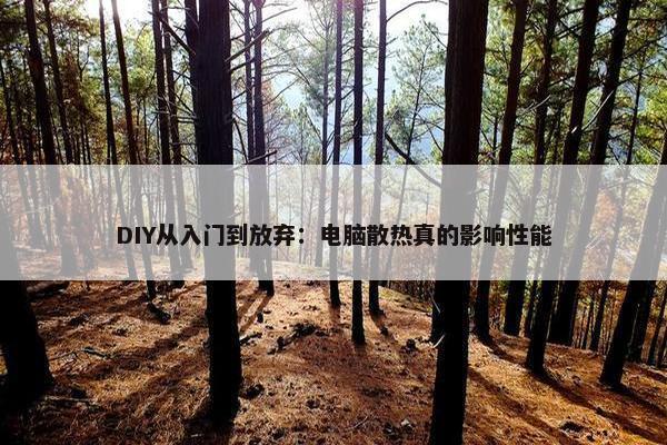 DIY从入门到放弃：电脑散热真的影响性能