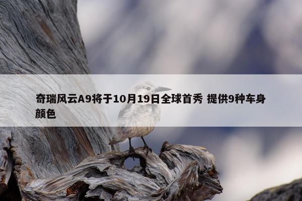 奇瑞风云A9将于10月19日全球首秀 提供9种车身颜色