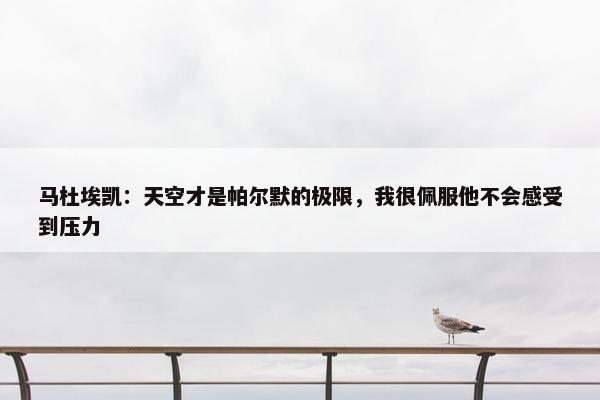 马杜埃凯：天空才是帕尔默的极限，我很佩服他不会感受到压力