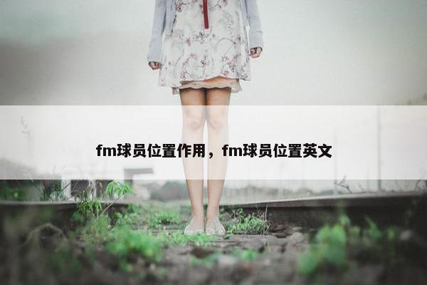 fm球员位置作用，fm球员位置英文