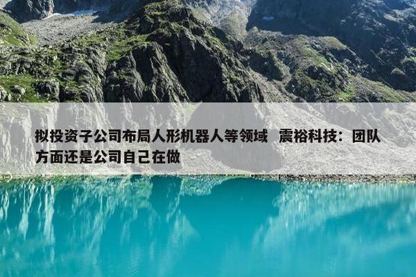 拟投资子公司布局人形机器人等领域  震裕科技：团队方面还是公司自己在做