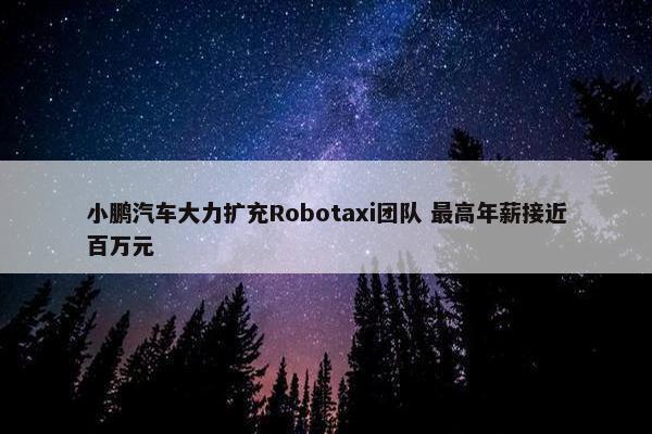 小鹏汽车大力扩充Robotaxi团队 最高年薪接近百万元