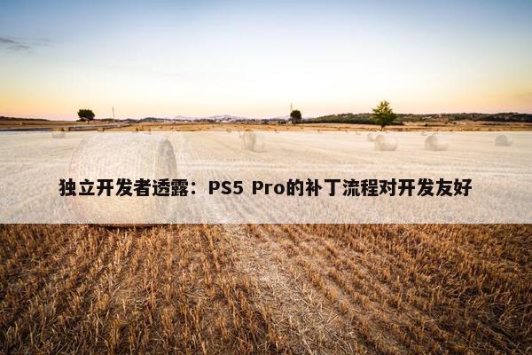 独立开发者透露：PS5 Pro的补丁流程对开发友好