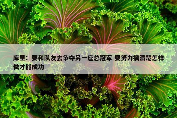 库里：要和队友去争夺另一座总冠军 要努力搞清楚怎样做才能成功