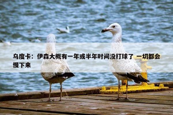 乌度卡：伊森大概有一年或半年时间没打球了 一切都会慢下来