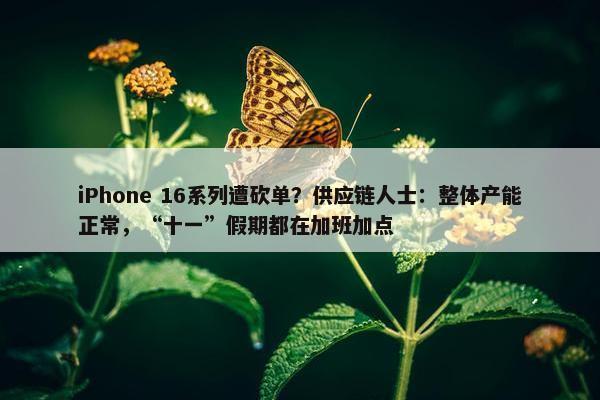 iPhone 16系列遭砍单？供应链人士：整体产能正常，“十一”假期都在加班加点