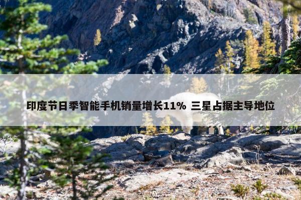 印度节日季智能手机销量增长11% 三星占据主导地位