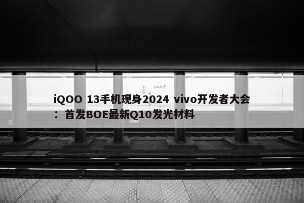 iQOO 13手机现身2024 vivo开发者大会：首发BOE最新Q10发光材料