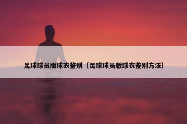 足球球员版球衣鉴别（足球球员版球衣鉴别方法）