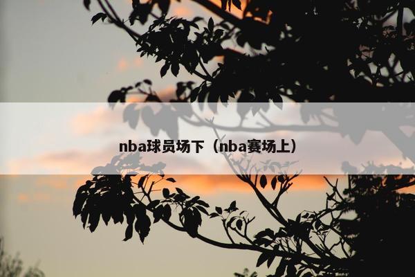 nba球员场下（nba赛场上）