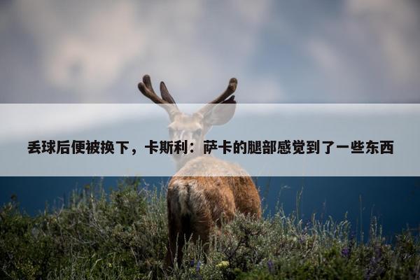 丢球后便被换下，卡斯利：萨卡的腿部感觉到了一些东西